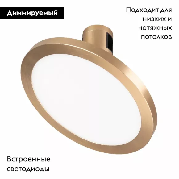 Трековый светильники Arlight ART-APRIORI-PLATO-TURN-R160-12W Day4000 044906, Золото, Белый, Нейтральный белый
