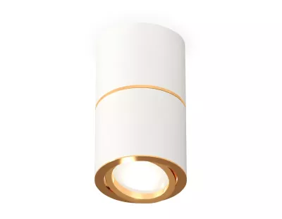 Потолочный светильник Ambrella Light Techno Spot XS7401200 (C7401, A2072, C7401, N7004)