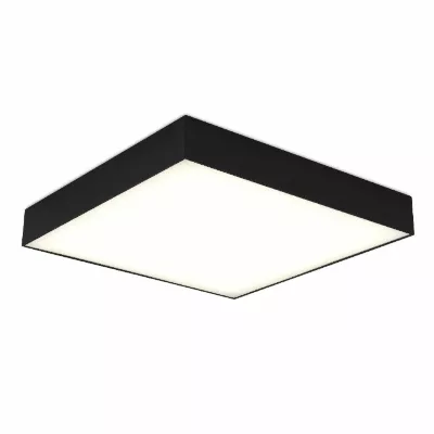 Потолочный светильник ST Luce ST608.442.48