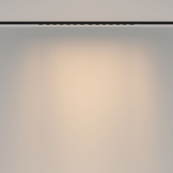 Трековый магнитный светильник Maytoni Spiky TR175-1-24WTW-M-B