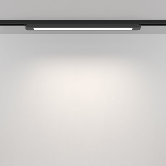 Трековый однофазный светильник Maytoni Technical Basis TR000-1-24W4K-B_1