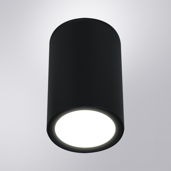 Уличный потолочный светильник Arte Lamp Torcular A1307PF-1BK