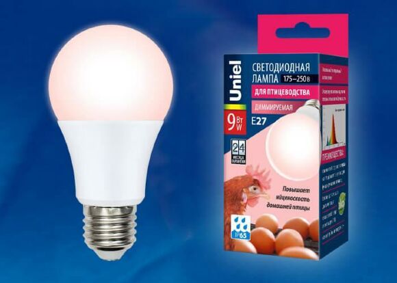 Лампа светодиодная диммируемая для птиц Uniel E27 9W LED-A60-9W/SCEP/E27/FR/DIM IP65 PLO65WH Лампа светодиодная диммируемая для птиц Uniel E27 9W LED-A60-9W/SCEP/E27/FR/DIM IP65 PLO65WH