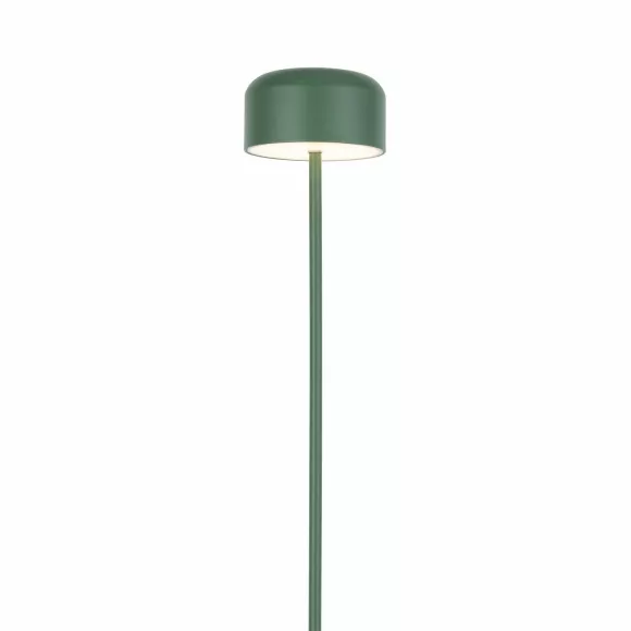 Торшер TK Lighting 19007 Noa Green a073035, 3000, Теплый белый Торшер TK Lighting 19007 Noa Green a073035, 3000, Теплый белый