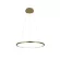 Подвесной светодиодный светильник Loft IT Ring 10014M
