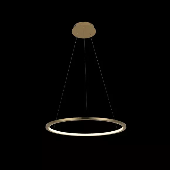 Подвесной светодиодный светильник Loft IT Ring 10014M, 3000, Теплый белый Подвесной светодиодный светильник Loft IT Ring 10014M, 3000, Теплый белый