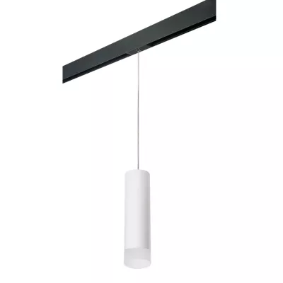 Трековый светильник Lightstar Rullo PRORP649681 (216496+595887+202481)