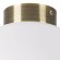 Потолочный светильник Lightstar Globo 812031