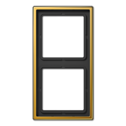 Рамка двухместная Jung LS982GGO