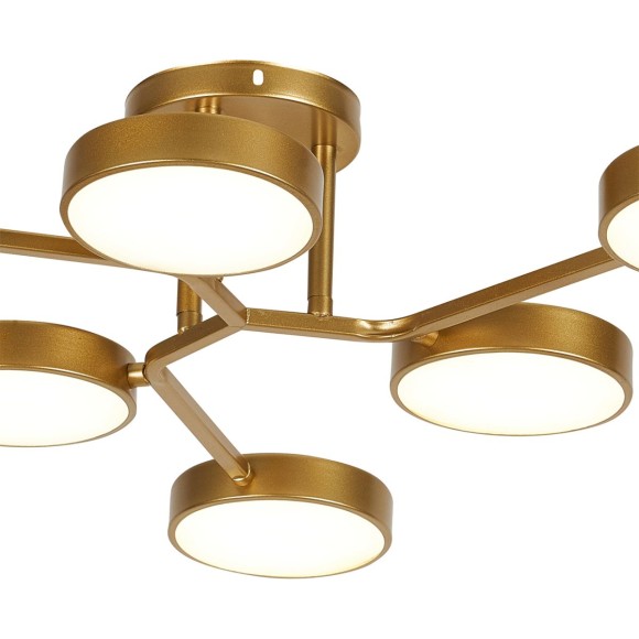 Потолочная светодиодная люстра Escada Starlight 10273/6LED