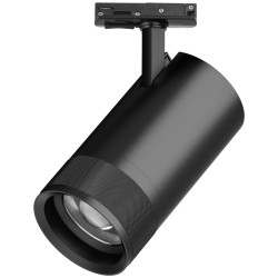 Трековый светильник для однофазного/трехфазного шинопровода Barra 20-55G с тонким адаптером Lightstar Canno Pro C4407SS