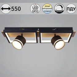 Потолочный светильник Reluce 19560-0.3-2+2 BK+WOOD