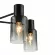 Люстра на штанге Escada Diversity 2120/5P Black, Хром, Прозрачный, Металл, крупный план