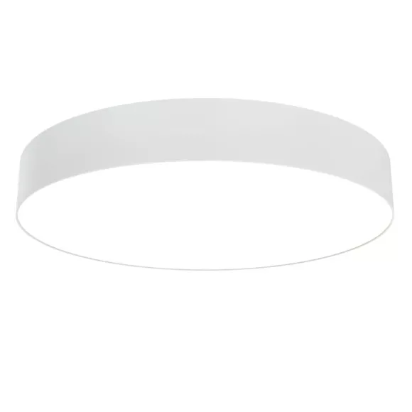 Потолочный светильник Maytoni Technical Zon C032CL-L48W3K