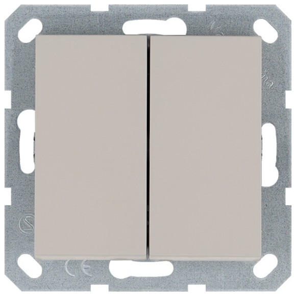 Выключатель двухклавишный проходной Jasmart 10A 250V с накладкой G3022T