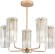 Люстра на штанге Rivoli Zoe 1064-305 Б0070173