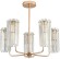 Люстра на штанге Rivoli Zoe 1064-305 Б0070173