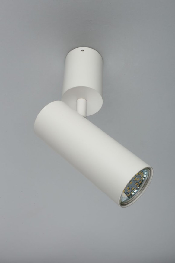 Настенно-потолочный светильник Aployt Berenis APL.007.02.01