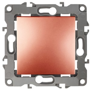 Выключатель Эра 12-1001-14 10АХ-250В, IP20, без м.лапок