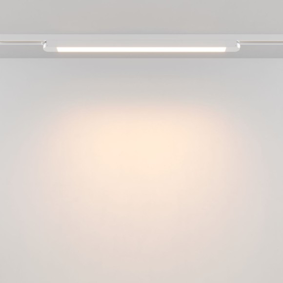 Трековый однофазный светильник Maytoni Technical Basis TR000-1-24W3K-W_1