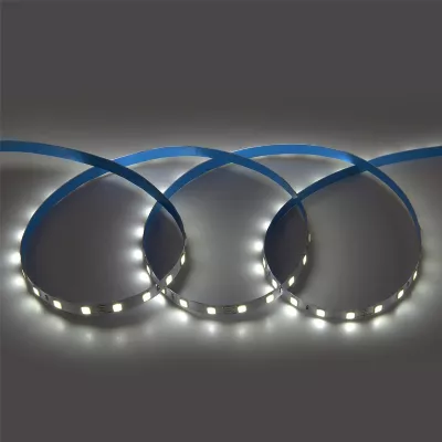 Светодиодная лента General GLS-5050-60-14.4-24-IP20-6 503412
