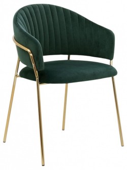 Стул Whispered Enchantment HSBI_DC114_green