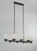 Подвесная люстра Delight Collection MD25020403-8B1 Matt black