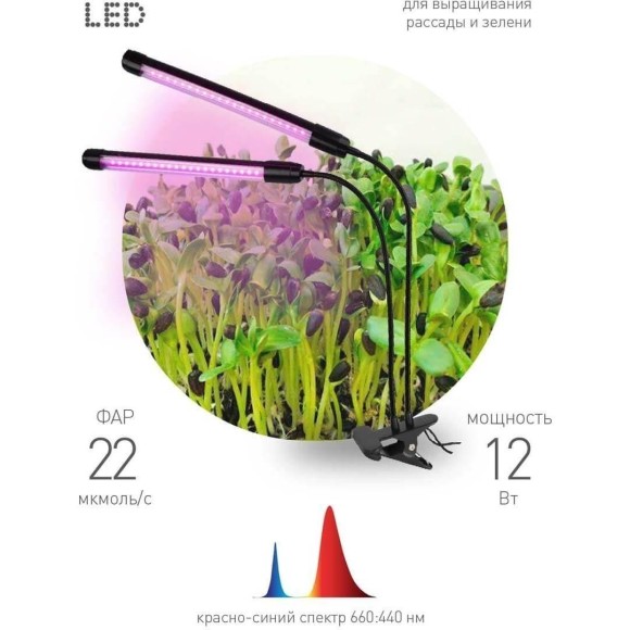 Светильник для растений Эра FITO-20W-АLED-N Б0053059