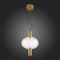 Подвесной светильник ST Luce SL1582.303.01