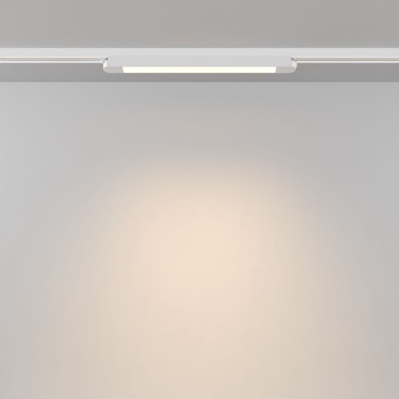 Трековый однофазный светильник Maytoni Technical Basis TR000-1-12W3K-W_1