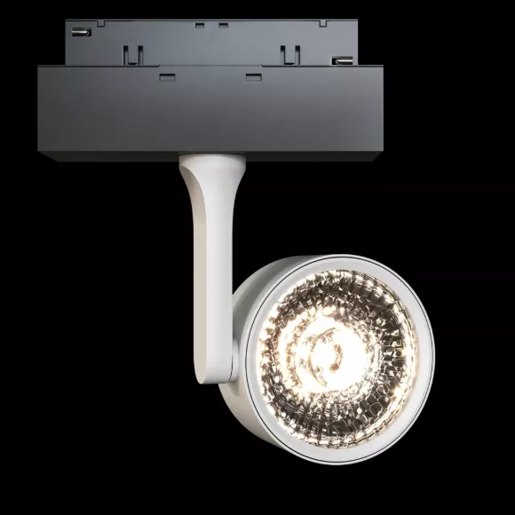 Трековый светильник Maytoni Oko TR024-2-10W3K, 3000, Теплый белый Трековый светильник Maytoni Oko TR024-2-10W3K, 3000, Теплый белый