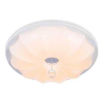 Потолочный светодиодный светильник Escada 10231/S LED