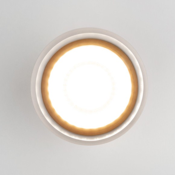 Уличный потолочный светильник Elektrostandard Light LED 4690389177941