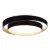 Потолочный светильник Evoluce Crosby SLE6009-402-01