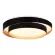 Потолочный светильник Evoluce Crosby SLE6009-402-01, крепление