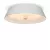 Потолочный светильник Freya Cells FR10013CL-L24W