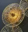 Настенный светильник Delight Collection OM2033-4 gold, декоративные элементы крупным планом