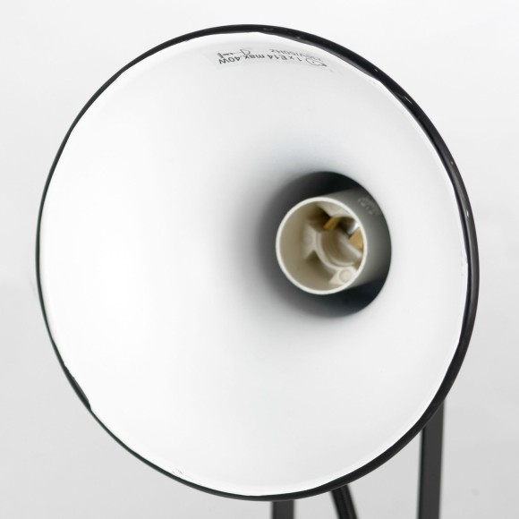 Спот Lussole LOFT Fargo LSP-8802, E14, 80W, белый