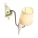 Бра LOFT IT Birds Loft1029W-1, Коричневый, Бежевый, Металл