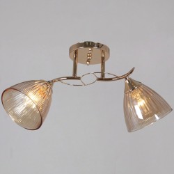 Потолочный светильник Reluce 02560-0.3-02 FG