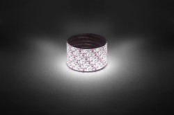 Светодиодная лента Эра 12В 2835 9,6Вт/м 4000K 5м IP65 LS2835-9,6-120-12-4000K-IP65-1 year-5m Б0059902