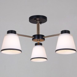 Потолочный светильник Reluce 30560-0.3-03 BK+FG