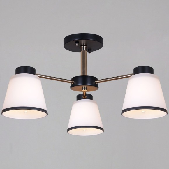 Потолочный светильник Reluce 30560-0.3-03 BK+FG