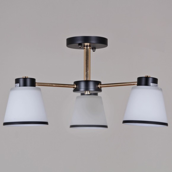 Потолочный светильник Reluce 30560-0.3-03 BK+FG