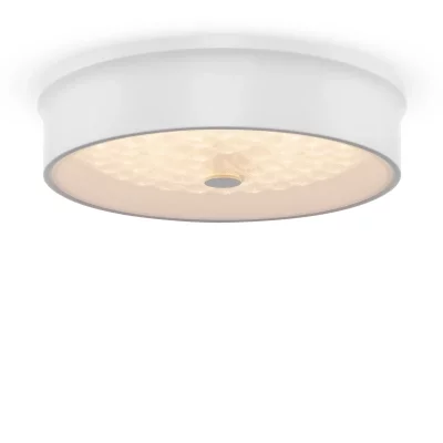 Потолочный светильник Freya Cells FR10011CL-L24W