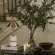 Настольная лампа Loft IT Travertine 10444T/A