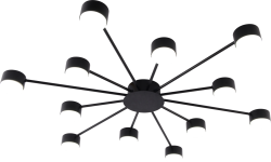 Потолочная люстра Rivoli Leona 3184-312 Б0070176