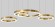 Подвесная светодиодная люстра ImperiumLoft Light Ring Horizontal 177928-22