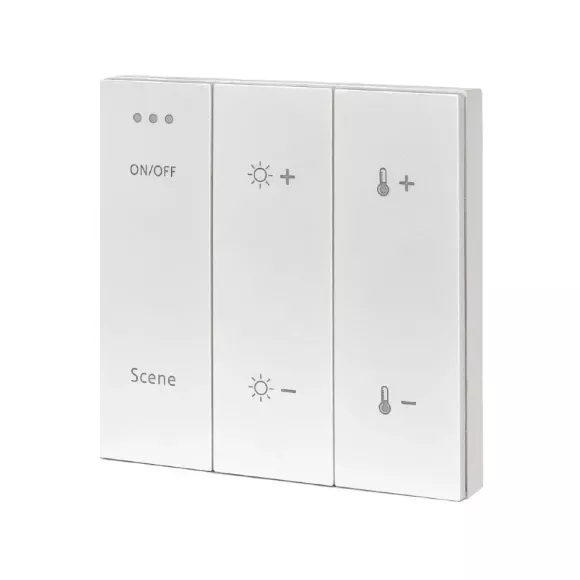 Панель управления ST Luce Skyline ST015.500.99 Панель управления ST Luce Skyline ST015.500.99