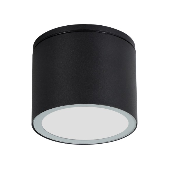 Уличный потолочный светильник Arte Lamp Piautos A1913PF-1BK